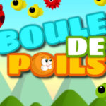 Boule De Poils