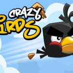 Crazy Birds